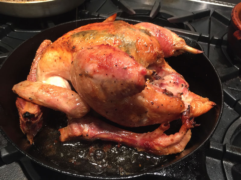 James' classic roast chicken golden and crispy from the oven