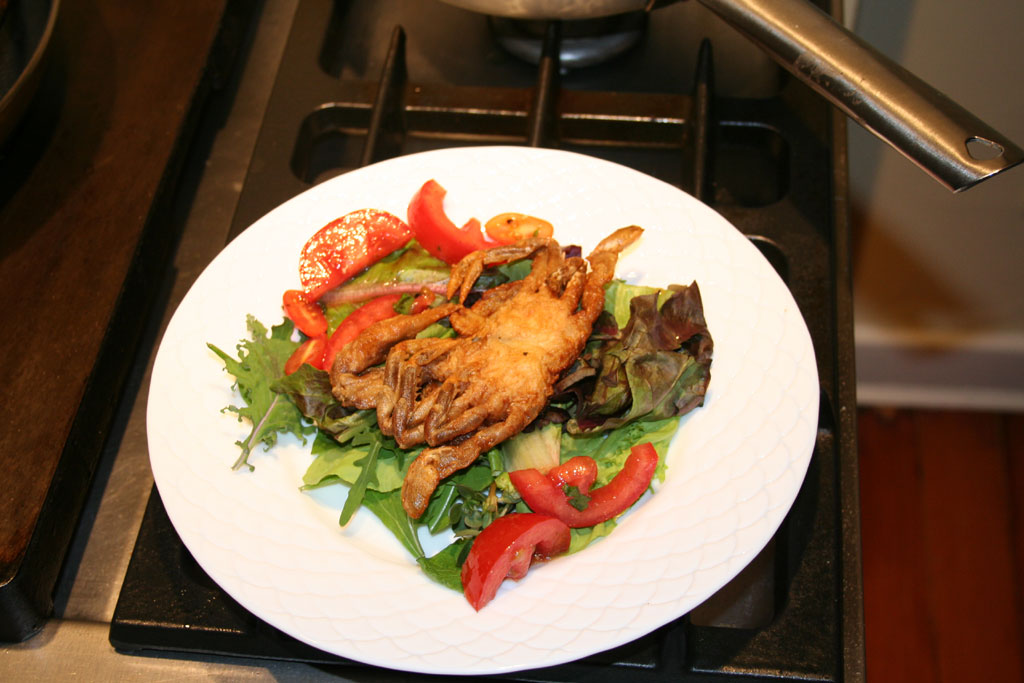 Maryland Softshell Crabs